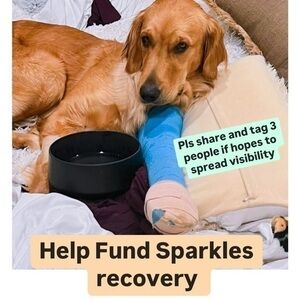 MEGA SALE TO HELP FUND MEDICAL BILLS